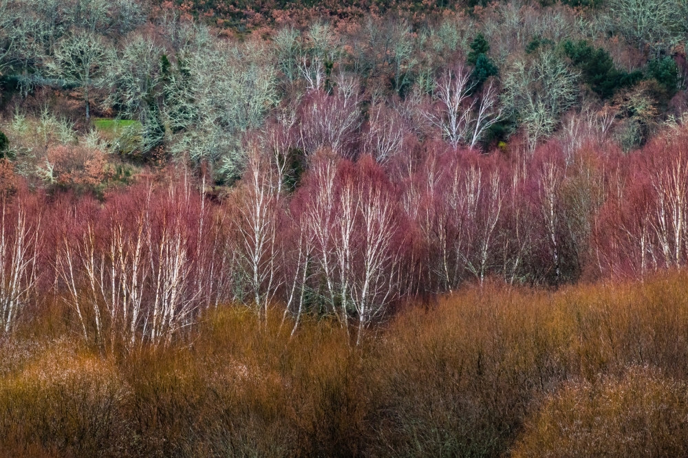 Portugal Tailor Made Photo Tour