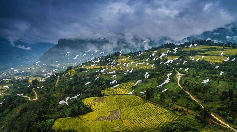 Vietnam - Photography Expedition