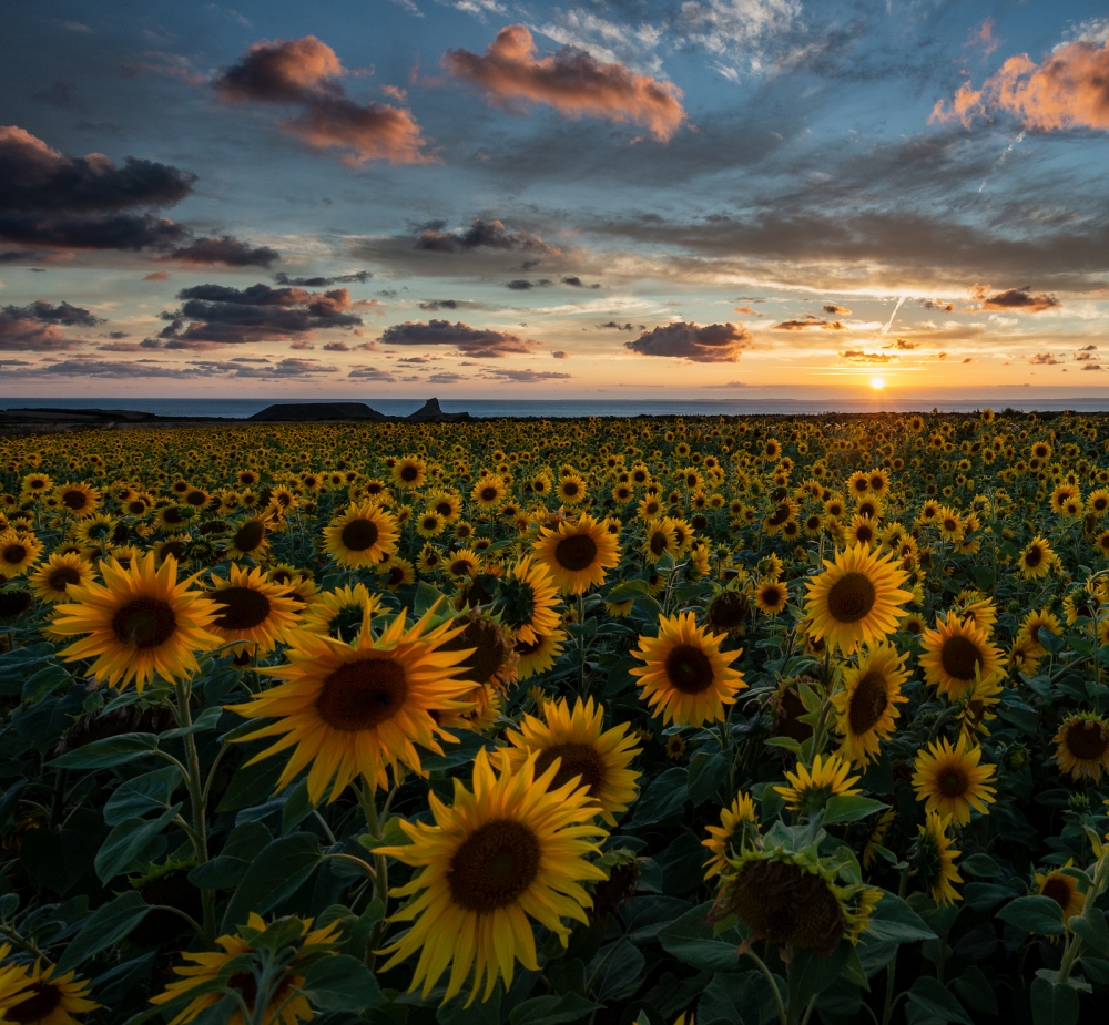 The Use of Colour in Landscape Photography