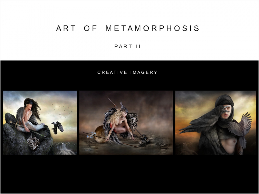 Art of Metamorphosis part II