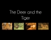 The Deer and The Tiger 