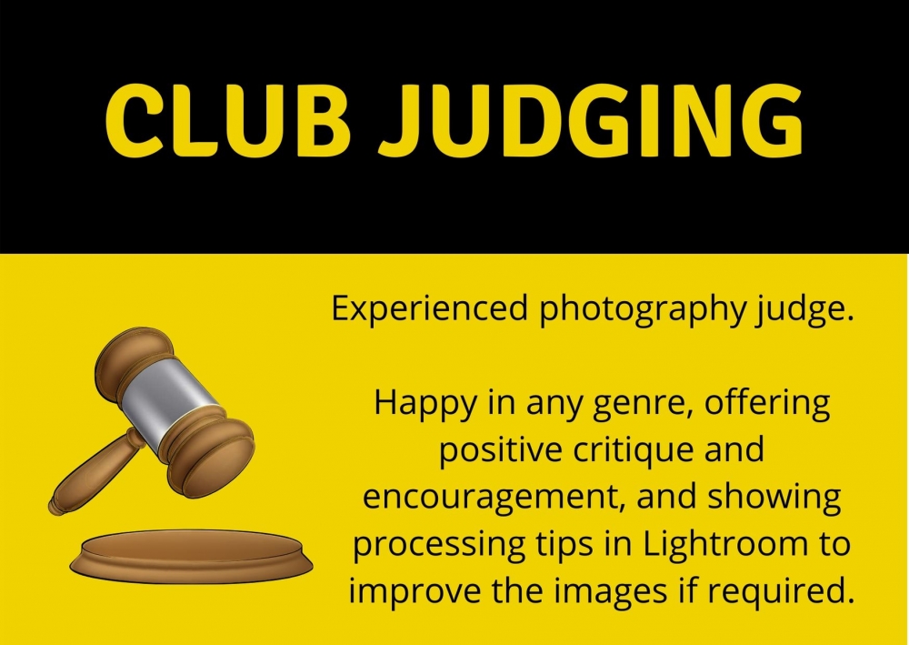 Club Judging