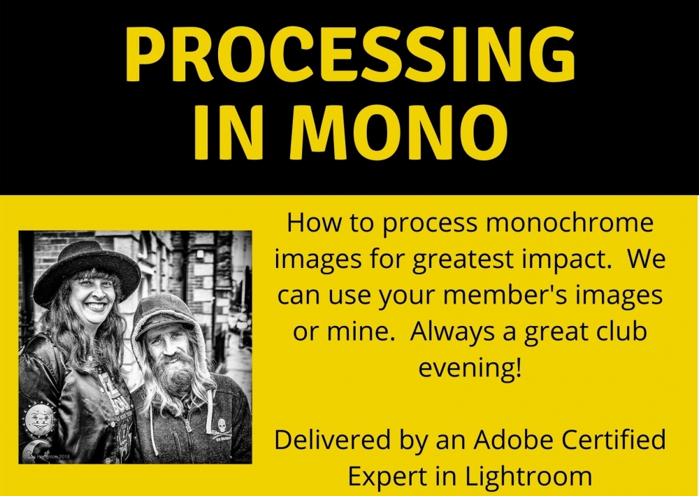 Processing in mono