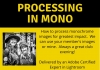 Processing in mono