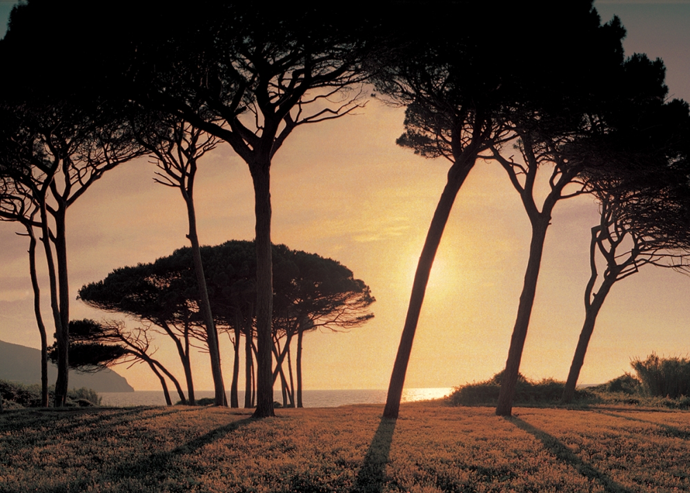 Italy - Landscape workshop for two in Orvieto