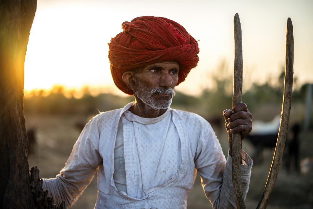 India - Tribes of Rajasthan