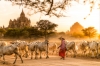 Myanmar - Magic Land Photography Expedition