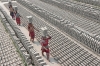 Brick Field Workers