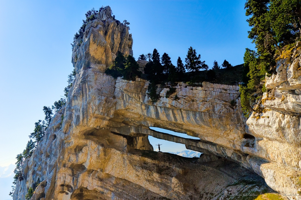 France - Wild Chartreuse