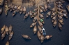 Bangladesh - Boat yards Virtual Drone Photo Tour 