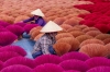 Vietnam - Incense Village