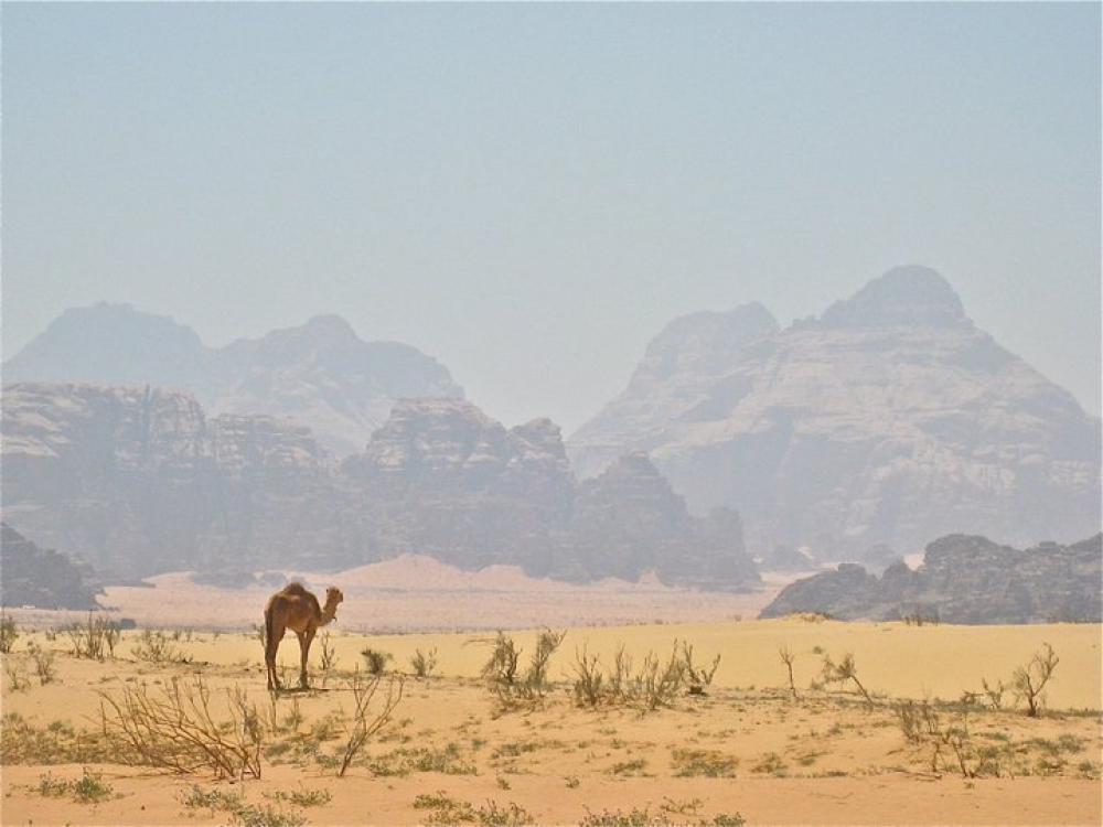 Jordan - Wadi Rum photo tour