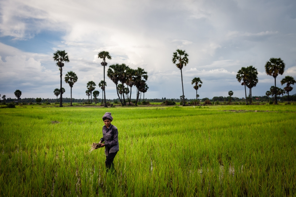 Cambodia - Siem Reap