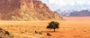 Jordan - Wadi Rum photo tour