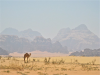 Jordan - Wadi Rum photo tour