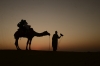 India - Explore Hidden Gems of Rajasthan 