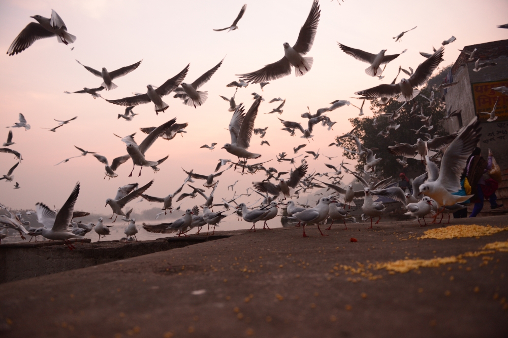 India - Old Delhi Yamuna Ghat