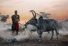 Ethiopia -Origin of Mankind- Photography Expedition