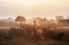 Ethiopia -Origin of Mankind- Photography Expedition