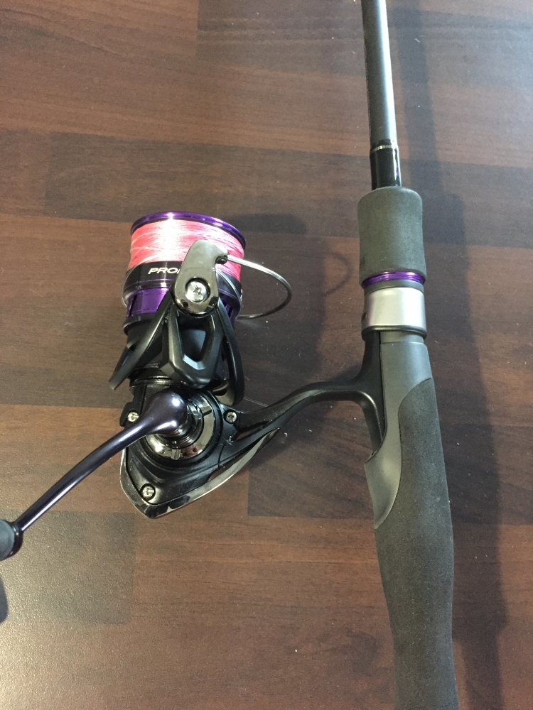 Ensemble Daiwa Prorex