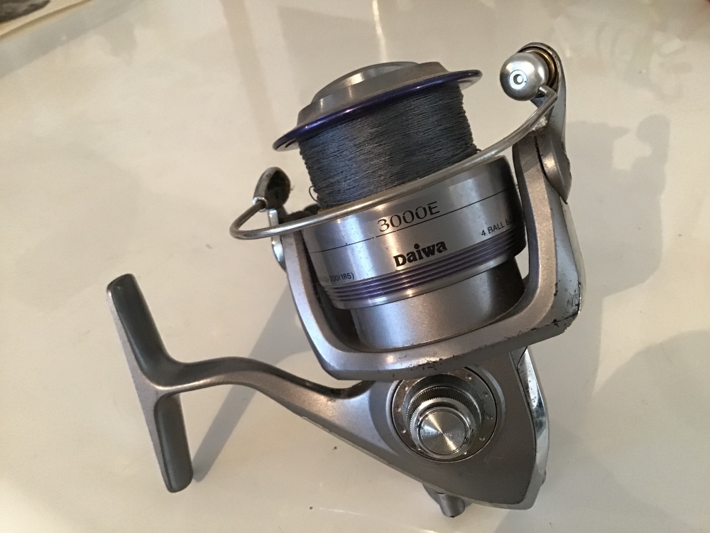 Daïwa Exceler 3000
