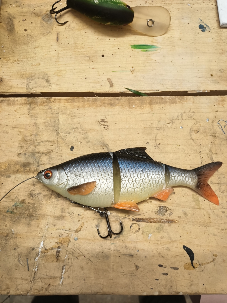 Line thru roach 3 D 