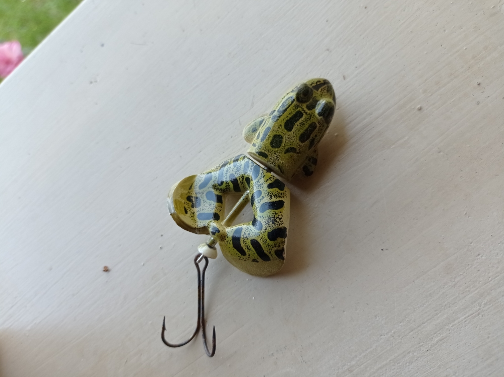 frog rebel