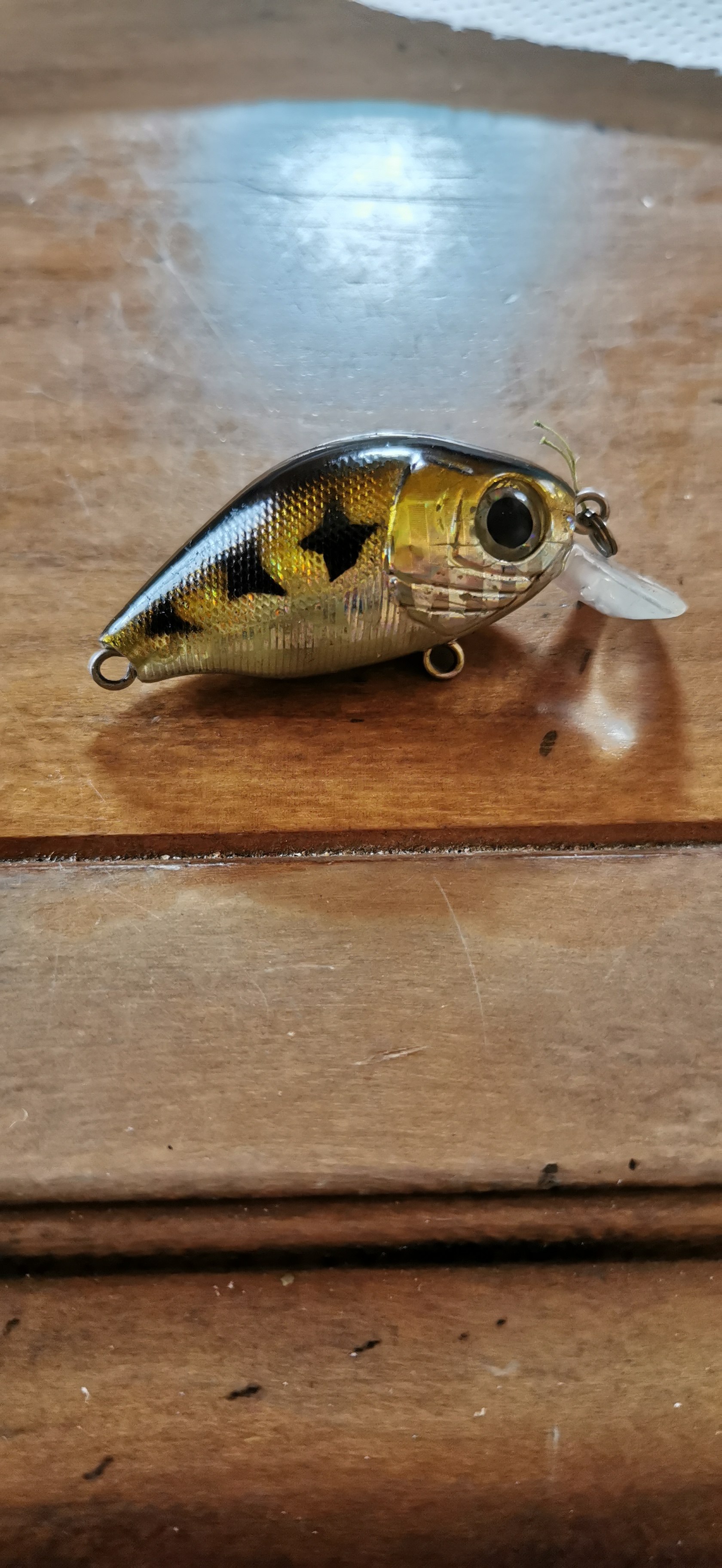 Crank bait