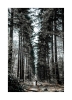 umixx | photography