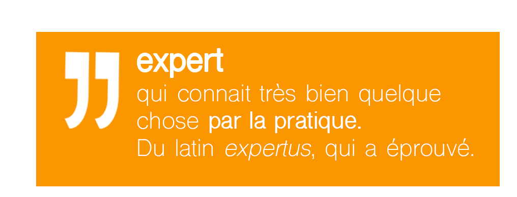 Définition expert