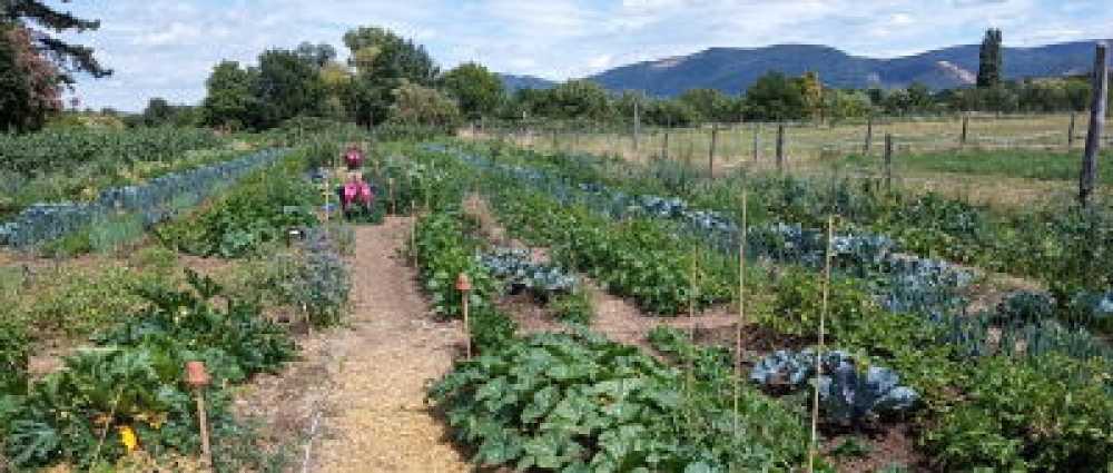 Freizeit Farmer Mietgarten In Heidelberg Wieblingen