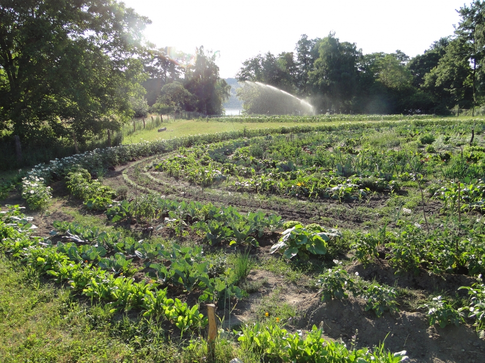 bauerngarten Havelmathen - Gemüse-Parzelle am Stadtrand von Berlin