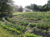 bauerngarten Havelmathen - Gemüse-Parzelle am Stadtrand von Berlin