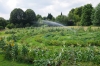 bauerngarten Pankow - Gemüse-Parzelle am Stadtrand von Berlin