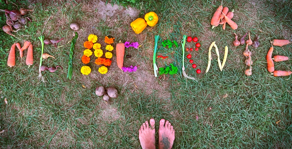 Mietgarten in Brühl - meine ernte