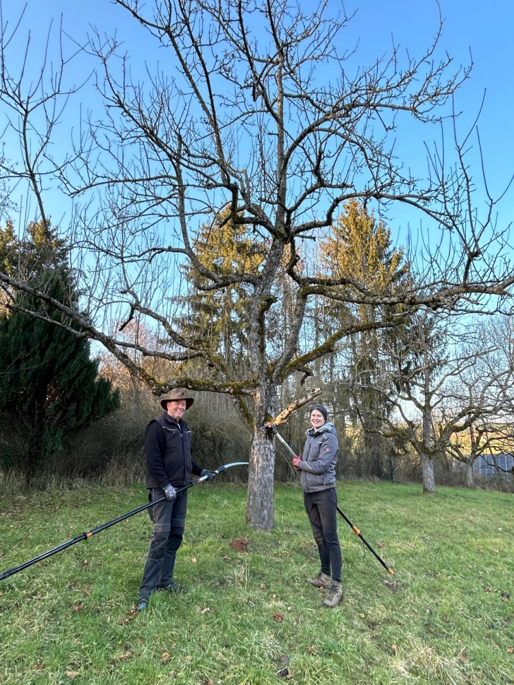 Obstbaumschnittkurs nach Öschberg (21.-23.03.2025)