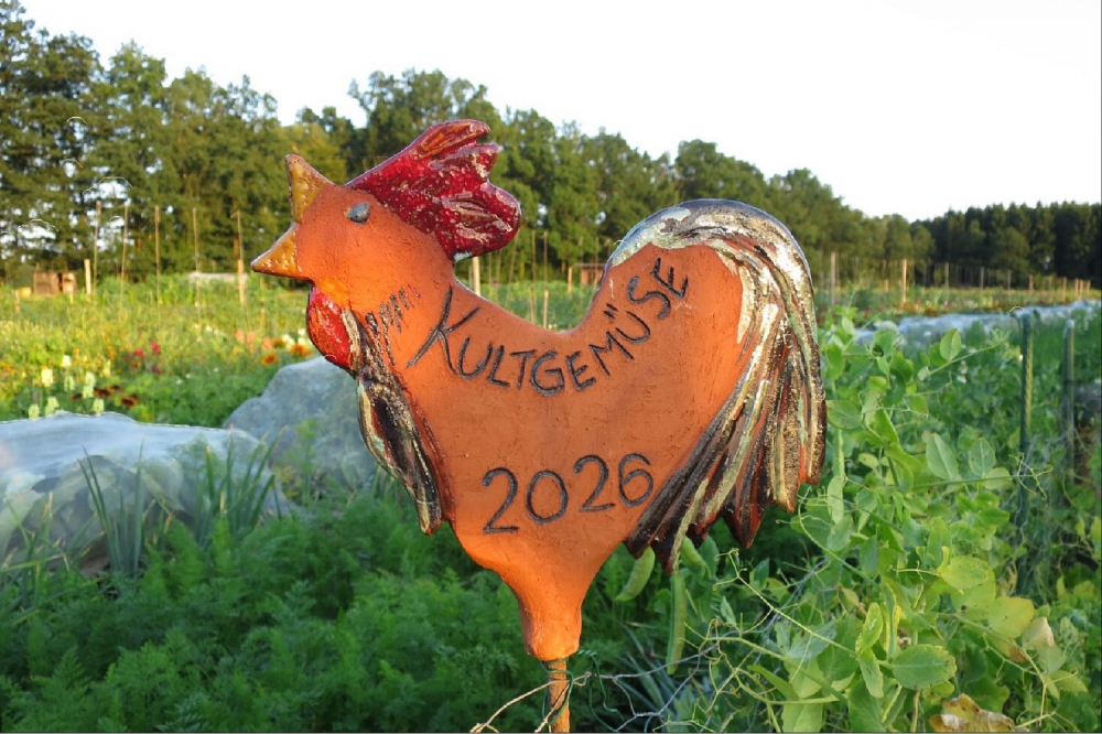 Kultgemüse 2026 - Gemüseparzelle (inkl. Bewässerung) ca. 55 m².