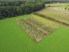 Kultgemüse 2026 - Gemüseparzelle (inkl. Bewässerung) ca. 55 m².