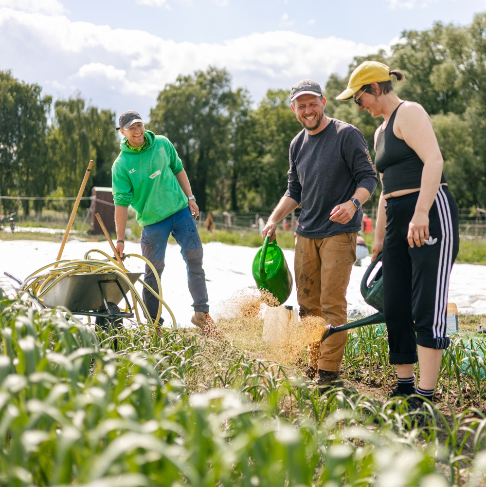 Tiny Farms Academy 2026