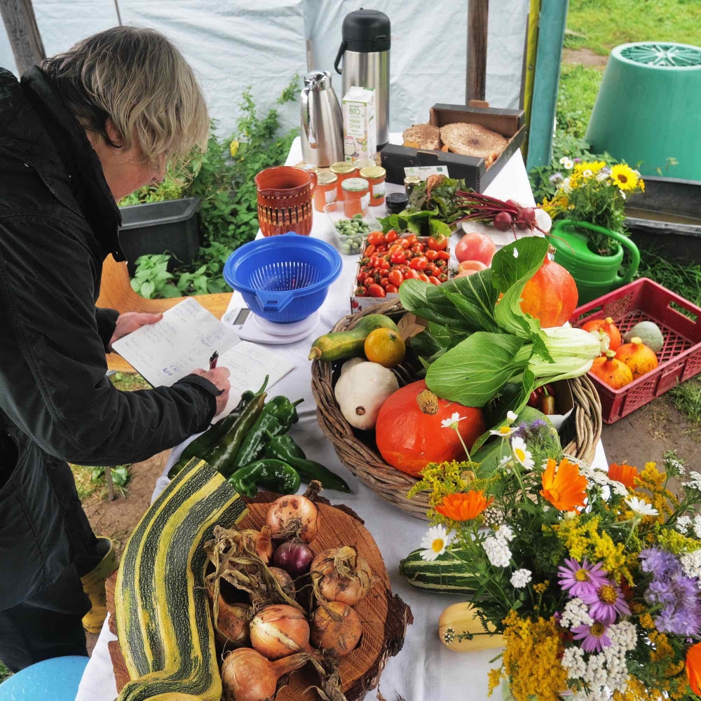 Experimentiergärten im Waldgarten Rehfelde