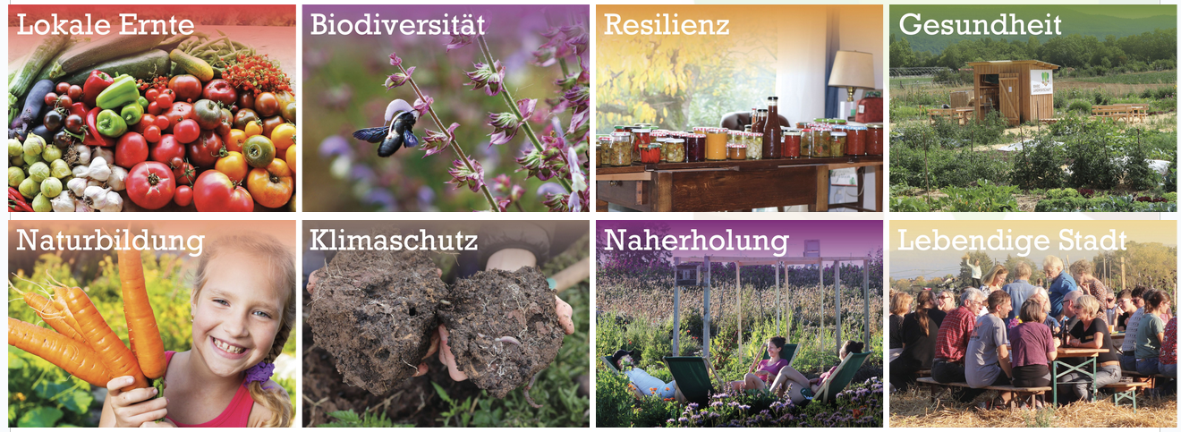 Gemeinschaftsäcker liefern lokale Ernährung, Artenvielfalt, Resilienz, Gesundheit, Bildung, Humusaufbau, Naherholung und Lebendige Stadt