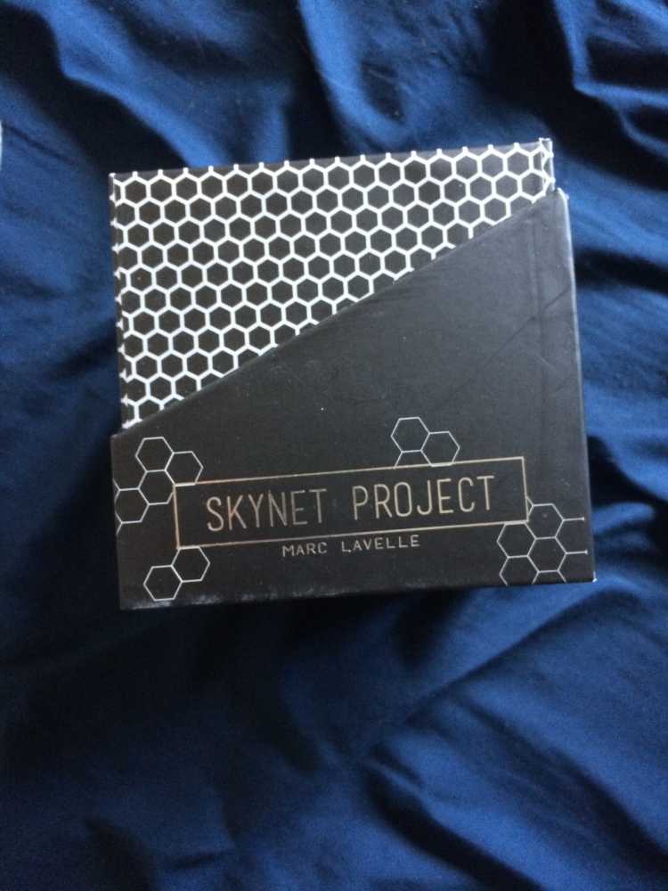 Skynet Project