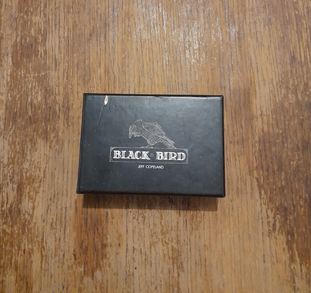 Black bird