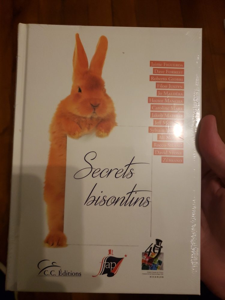 Secret bisontins