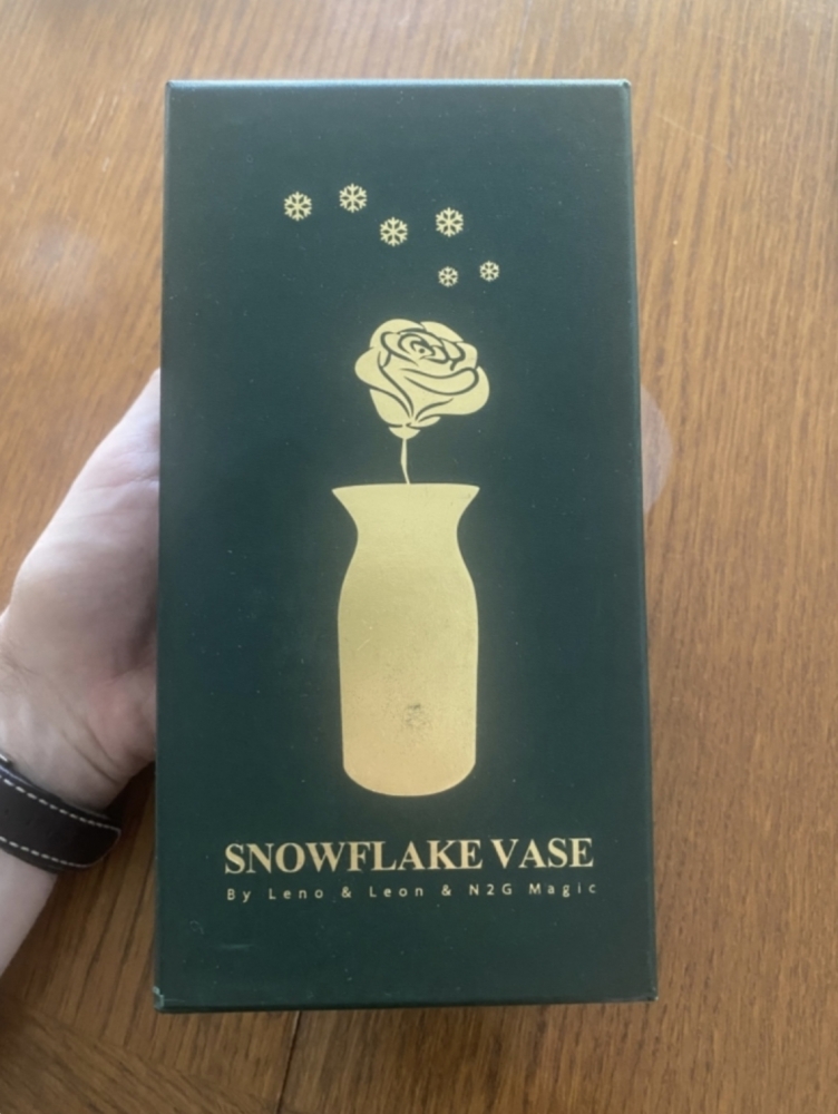 Snowflake vase - Snow flake vase