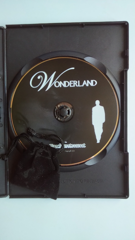 Wonderland : disparitions/productions...