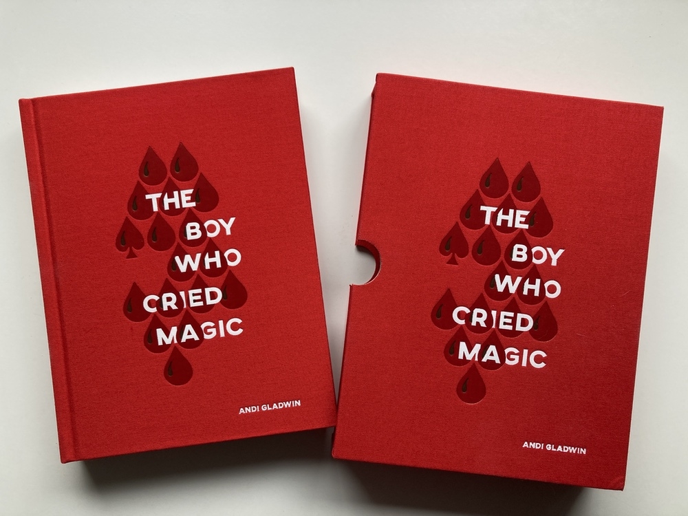 The Boy Who Cried Magic de Andi GLADWIN