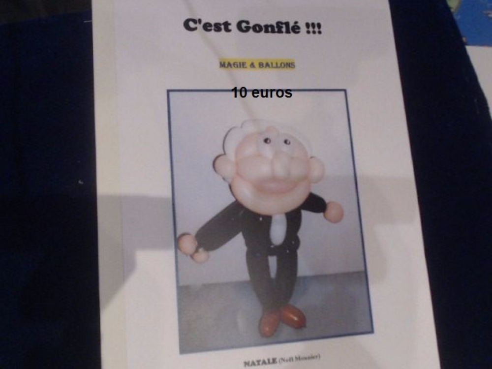 Note de Conference \"c'est gonflé\"+ DVD de la conference