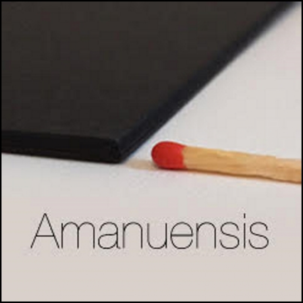 Amanuensis - Vincent HEDAN