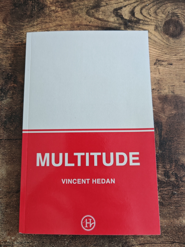 close up David Stone + multitude Vincent Hedan 